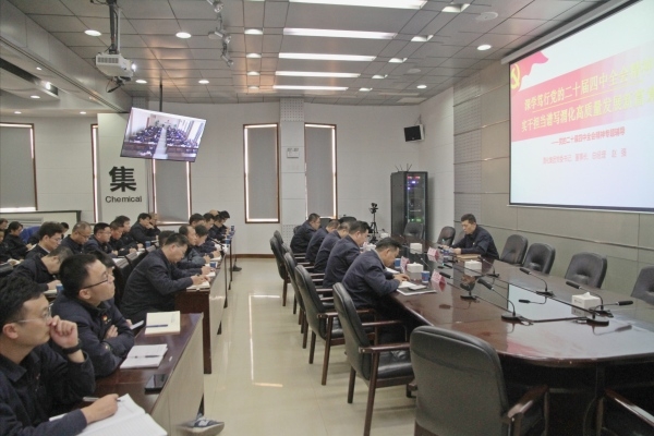 集團公司黨委書記、董事長、總經理趙強專題宣講黨的二十屆四中全會精神